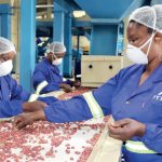 Industry gains fail to deliver jobs—report