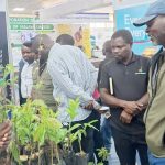 Small businesses cherish trade fair deals, network