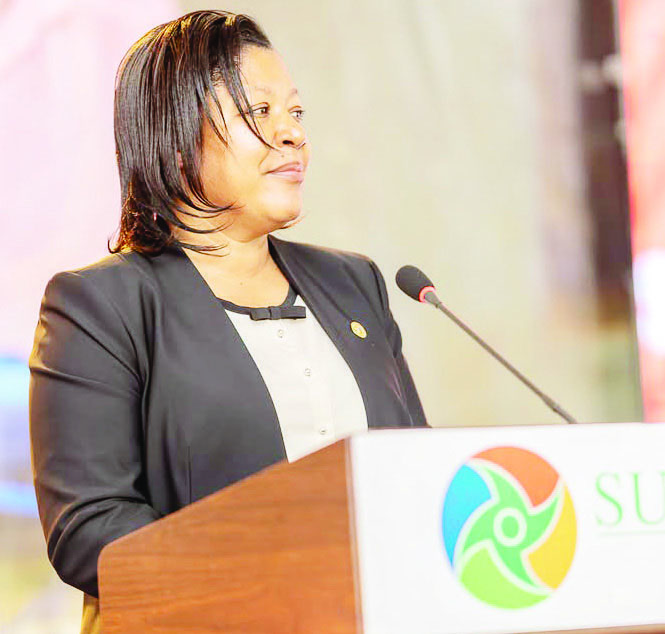 €4.8m project extends clean energy access – The Times Group