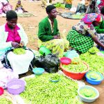 Most businesses remain informal – The Times Group