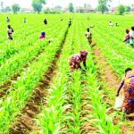 Agriculture faces K7tn financing gap