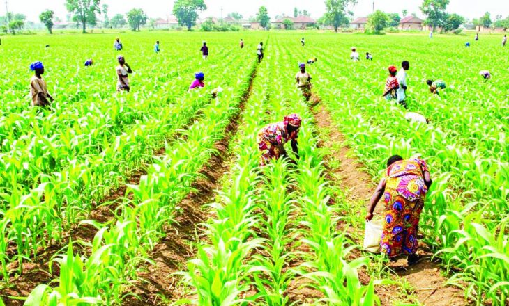 Agriculture faces K7tn financing gap
