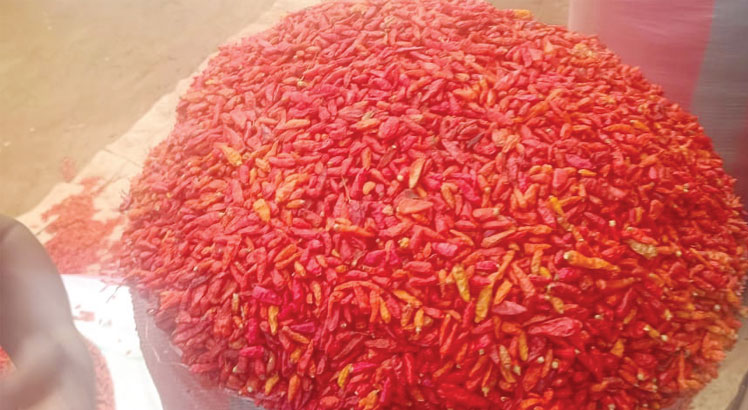 Chilli: Malawi’s highest priced crop, but ignored
