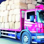 Growers to get held tobacco proceeds – The Times Group