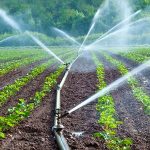 Time to make agriculture work for Malawi