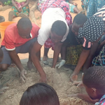 Mbeya fertiliser deserves support - Nation Online