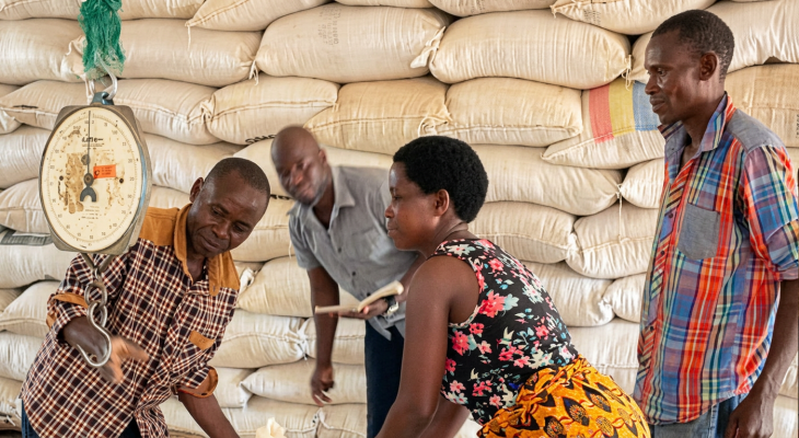 Study urges realistic food price stabilisation