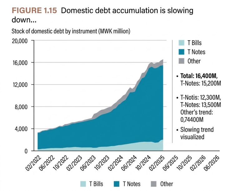 Debt distress clouds economy—network - Nation Online