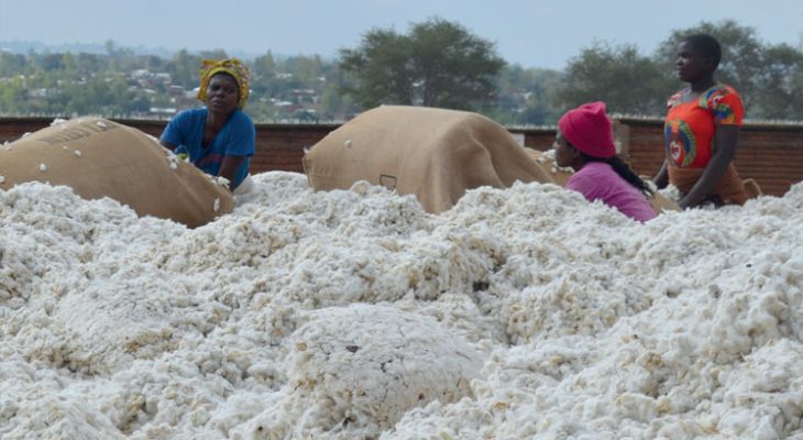 Output for key crops decline, analysts urge diversification