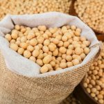 Mwapata Institute shares soybean value-chain tips