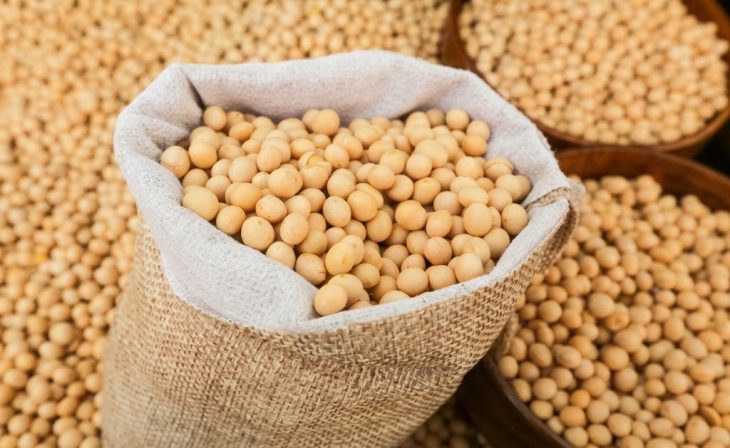 Mwapata Institute shares soybean value-chain tips