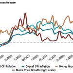 At 19.4%, Malawi’s inflation still way above peer nations – The Times Group