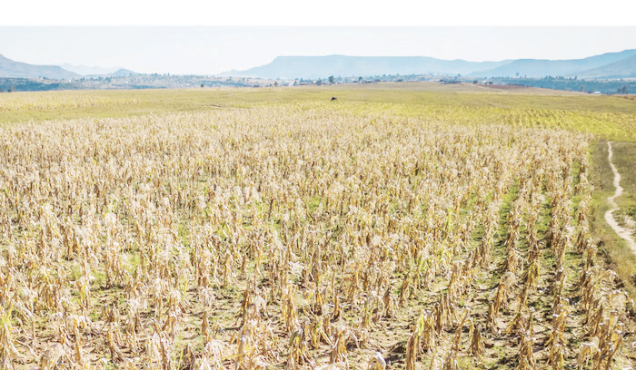 ‘El Niño could push Malawi into deeper economic crisis’ – The Times Group