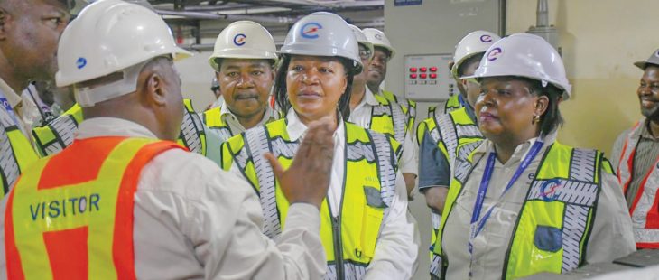 Minister upbeat on 31mw restoration – The Times Group