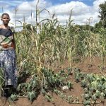 Recovery fragile —Oxfam in Malawi