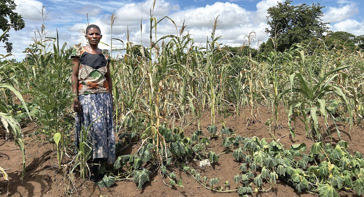 Recovery fragile —Oxfam in Malawi