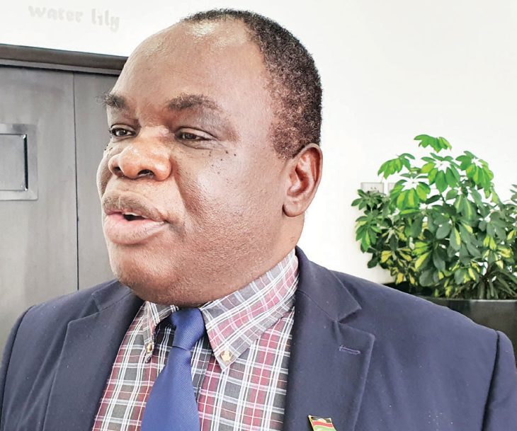 Ministry pushes for minerals value addition – The Times Group